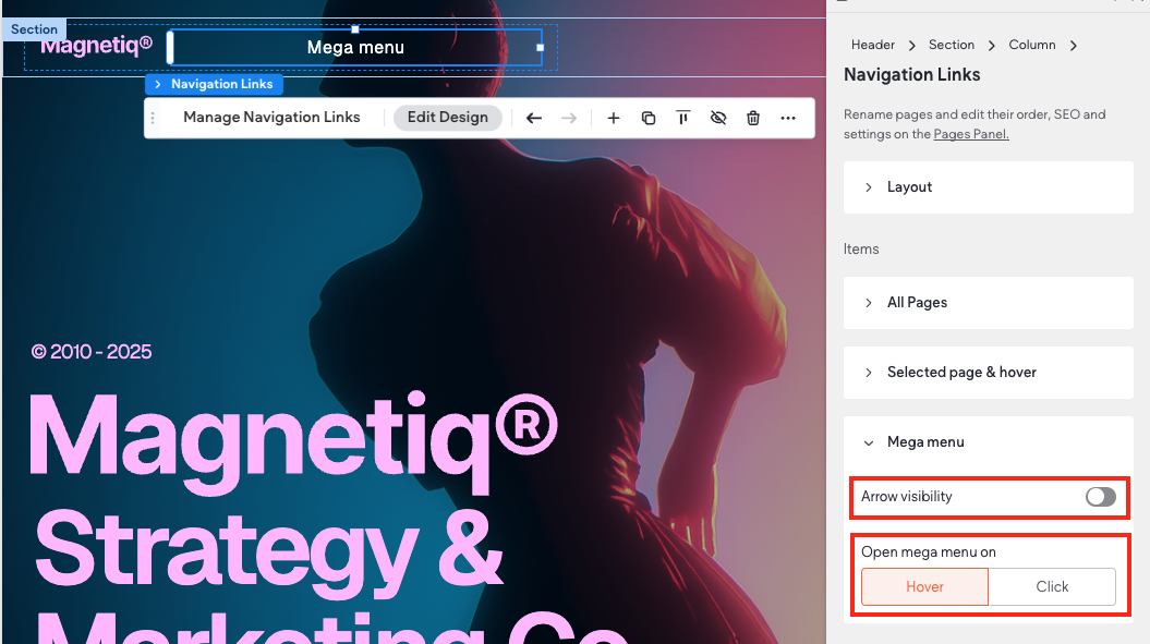 Mega Menu – Website Help