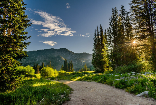 Nature photo shown to be cropped to a 3:2 ratio.