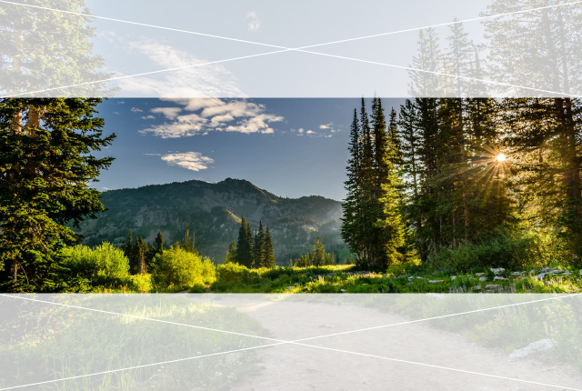 Nature photo shown to be cropped to a 3:1 ratio.